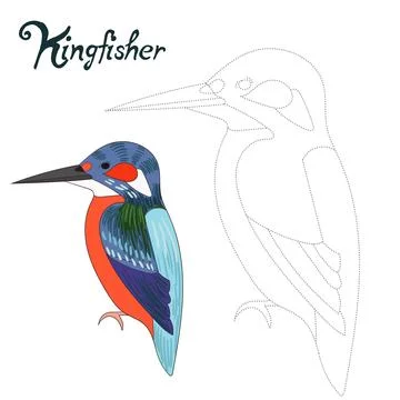 Educational game connect dots draw kingfisher bird Stock Illustration