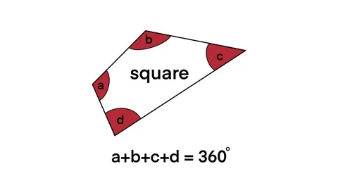 Educational geometry diagram illustrating square, rectangle, and rhombus Stock Footage 320303222