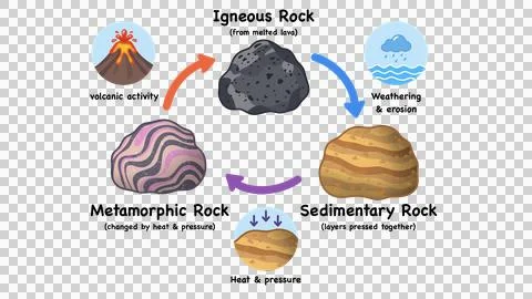 Educational graphic explaining how rocks form and change covering igneous Stock Illustration
