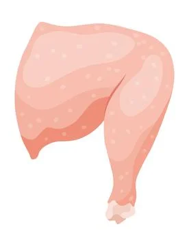 An educational illustration showcasing the cut and part of raw chicken meat Stock Illustration