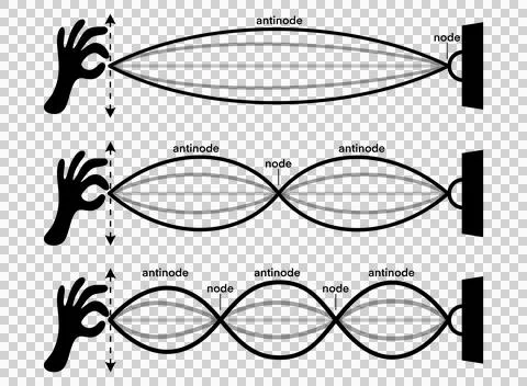 Educational illustration of standing waves on a string fixed Stock-Illustration
