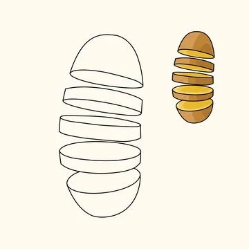 Educational line art drawing of a cut potato, vegetable coloring page. Illustrat Stock Illustration