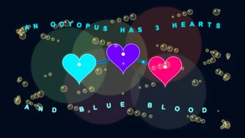 Educational motion an octopus has three hearts and blue infographic Video stock 346966422