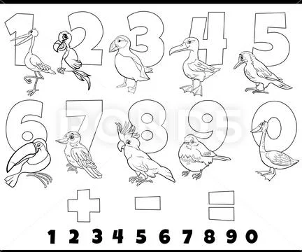 Educational numbers set with cartoon birds coloring page: Graphic ...