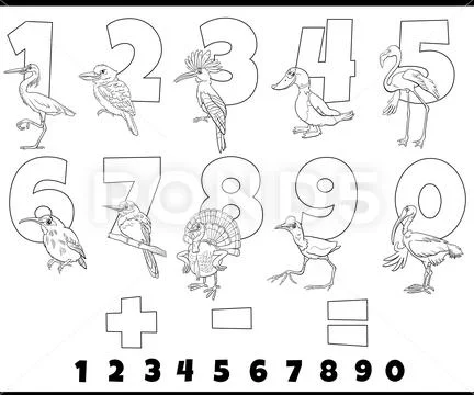 Educational numbers set with comic birds coloring page: Royalty Free ...