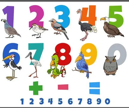Educational numbers set with comic birds animal character Stock Illustration