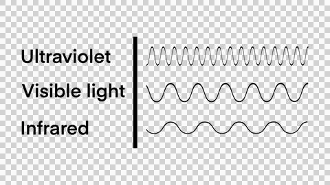 Educational physics light line, Light wave frequency, Wavelengths of the visible Stock Illustration
