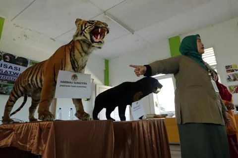 Educational program teaches Indonesian students to protect nature and wildlife,  写真素材