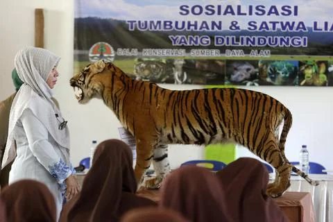 Educational program teaches Indonesian students to protect nature and wildlife,  Foto stock