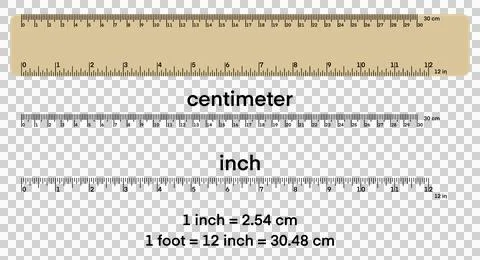 Educational ruler chart showing centimeter and inch measurements Illustrazione stock