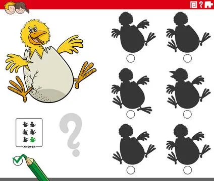 Educational shadows game with cartoon chick character Cartoon Illustration... Stock Photos