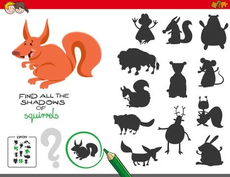 Educational shadows game with squirrels Cartoon Illustration of Finding Al... Stock Photos