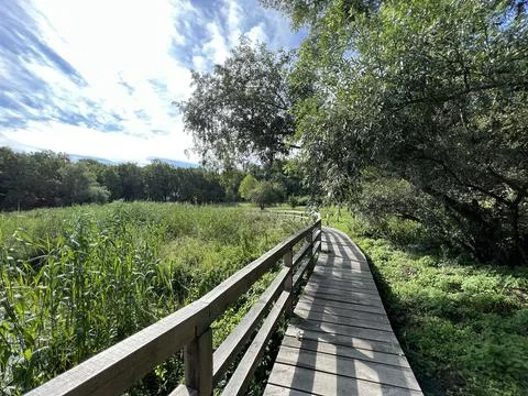 Educational trail of the significant landscape of Sovsko lake, Sovski Dol Stockfoto's