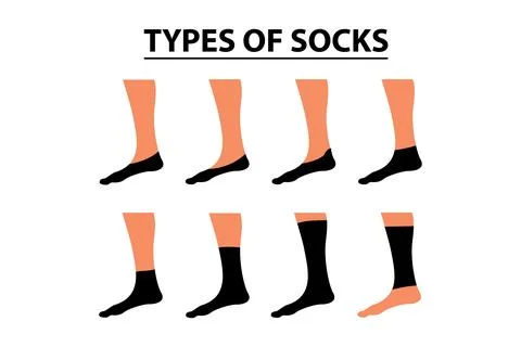 Educational Vector Infographic Set of Various Types of Socks for Apparel Design イラスト素材
