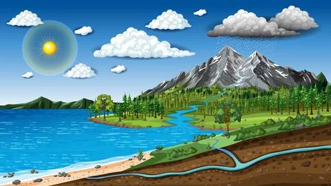 Educational Water Cycle Diagram Vector Illustration with Mountains and Ocean Stock Illustration
