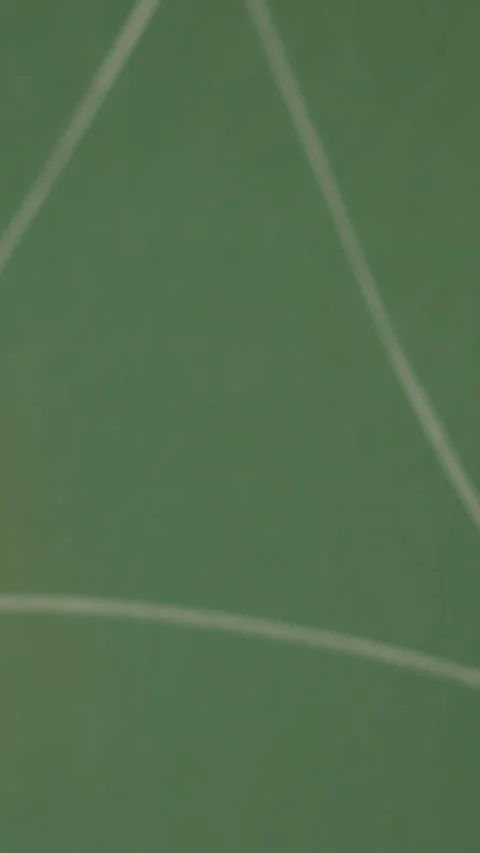 An educator is demonstrating mathematical formulas by writing on a chalkboard in Video stock 279218305