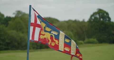 Edward III Royal Standard medieval flag flapping in the wind, at Leeds Stock Footage 284314895