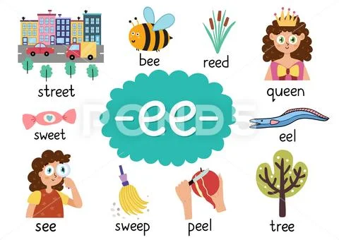 Ee digraph with words educational poster for kids. Learning phonics ...