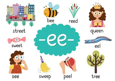 Ee digraph with words educational poster for kids. Learning phonics Stock Illustration