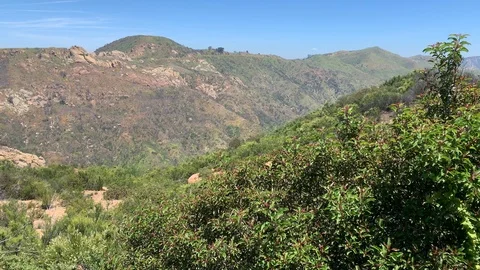 EE0BC89F-FF71-444A-954C-89100CB0FED2 Vídeos de archivo 106965517