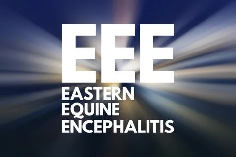 EEE - Eastern Equine Encephalitis acronym, medical concept background Stock Illustration