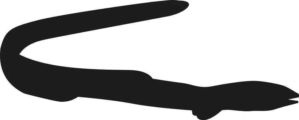 Eeel silhouette Stock Illustration