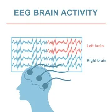 EEG Brain Activity Stock Illustration