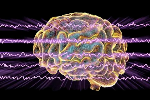 EEG Electroencephalogram, brain wave in awake state with mental activity Stock Illustration