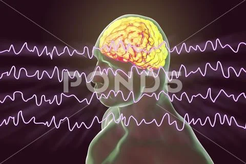 EEG Electroencephalogram, brain wave in awake state during rest Stock Illustration