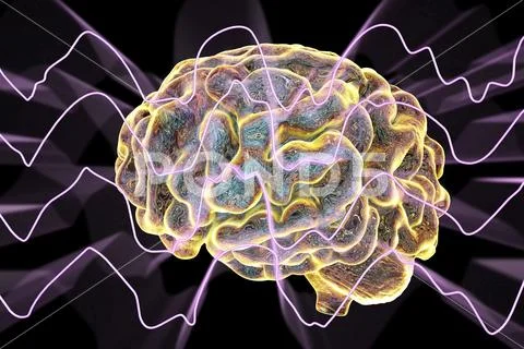 EEG Electroencephalogram, brain wave in deep sleep Stock Illustration