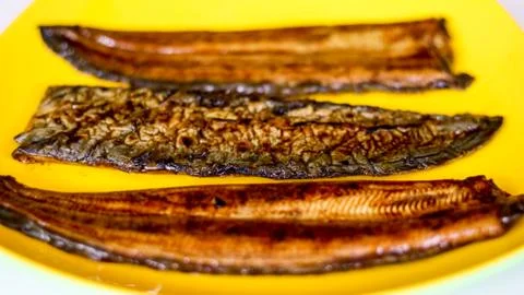 Eel fish or unagi Stock Photos