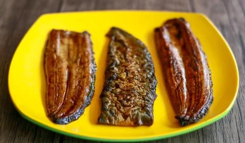 Eel fish Stock Photos