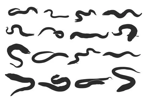Eel fish silhouette, Moray eel fish silhouette, European eel silhouette Stock Illustration
