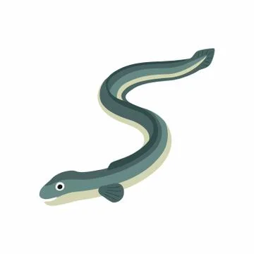Eel fish. Vector illustration isolated on white background. Stock Illustration