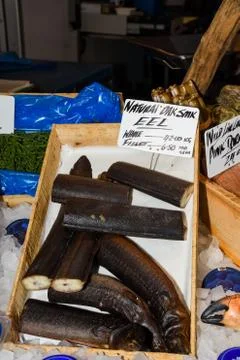 An eel is a long, thin fish Foto stock