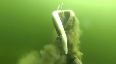 Eel on a spear Stock Footage 51427238