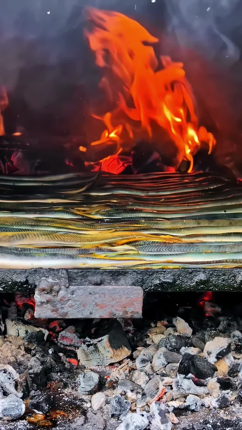 Eels Grilling Over Open Flame with Glowing Coals Below Stock Footage 336468300