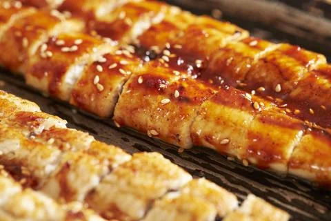 Eels split and broiled[grilled  in soy, broiled eels Stock Photos