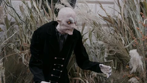 An Eerie Creature in an Abandoned Setting Perfect for Halloween Themed Decor and Vidéo 314256683