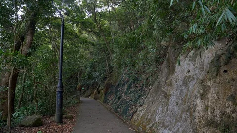 Eerie Empty Mountain Path with a Lamp Post 4k Stock Footage 123040436