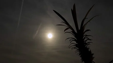 Eerie Full Moon Behind Dark Clouds Halloween Concept Stock-Footage 346639535