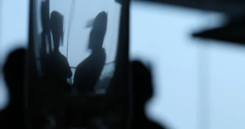 Eerie Ghost Shadow Silhouette for Spooky Wall or Art Design Stock Footage 330282858