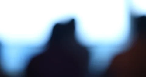 Eerie Ghostly Silhouette 스톡 동영상 330286455