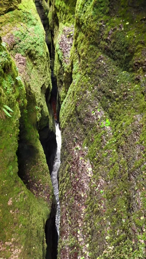 Eerie Moss-Covered Deep Gorge Interior - Scotland Nature Stock Footage 330660367