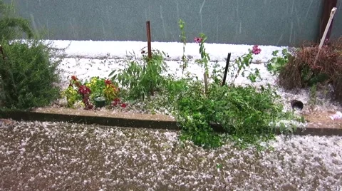 Efects of a raging hailstorm 動画素材 57694956