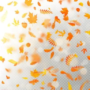 Effect of autumn falling leaves layer with shallow DOF blur. Autumnal foliage Stock Illustration