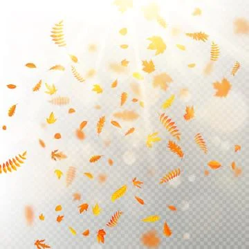 Effect of autumn falling leaves layer with shallow DOF blur. Autumnal foliage Stock Illustration