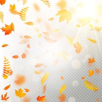 Effect of autumn falling leaves layer with shallow DOF blur. Autumnal foliage Stock Illustration