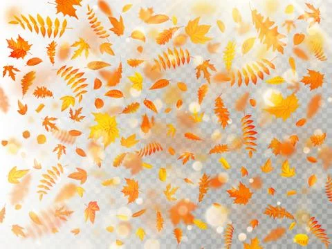 Effect of autumn falling leaves layer with shallow DOF blur. Autumnal foliage Stock Illustration
