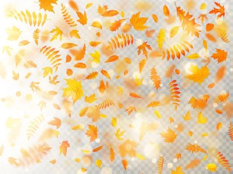 Effect of autumn falling leaves layer with shallow DOF blur. Autumnal foliage Stock Illustration